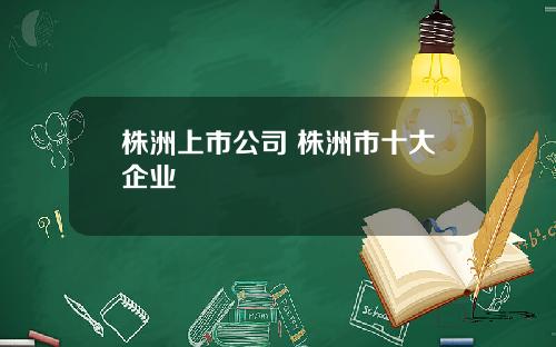 株洲上市公司 株洲市十大企业