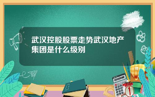 武汉控股股票走势武汉地产集团是什么级别