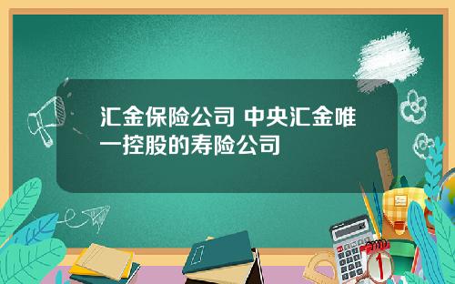 汇金保险公司 中央汇金唯一控股的寿险公司