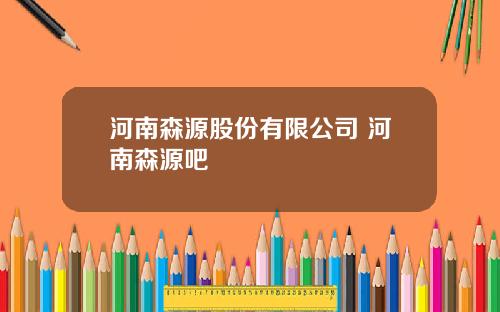 河南森源股份有限公司 河南森源吧