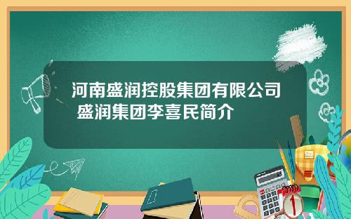 河南盛润控股集团有限公司 盛润集团李喜民简介