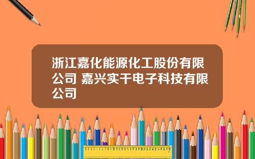 浙江嘉化能源化工股份有限公司 嘉兴实干电子科技有限公司