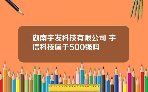 湖南宇发科技有限公司 宇信科技属于500强吗