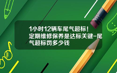 1小时12辆车尾气超标！定期维修保养是达标关键-尾气超标罚多少钱