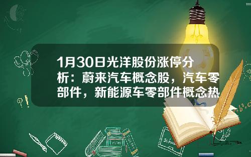 1月30日光洋股份涨停分析：蔚来汽车概念股，汽车零部件，新能源车零部件概念热股-蔚来一手资讯股票