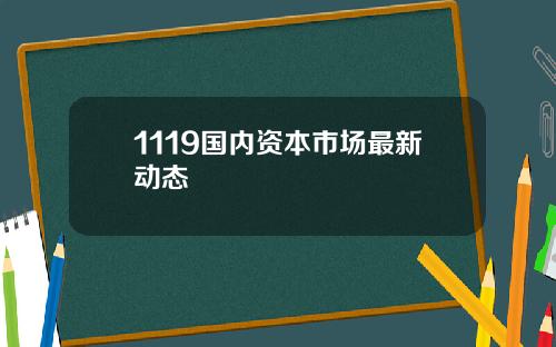 1119国内资本市场最新动态