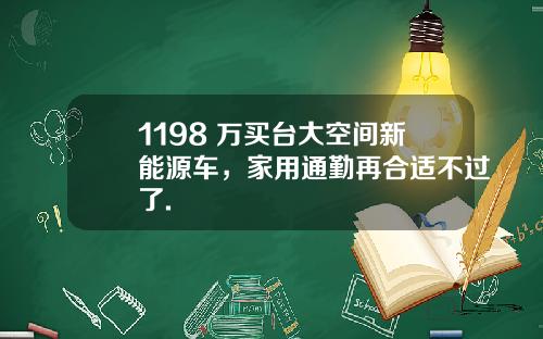 1198 万买台大空间新能源车，家用通勤再合适不过了.