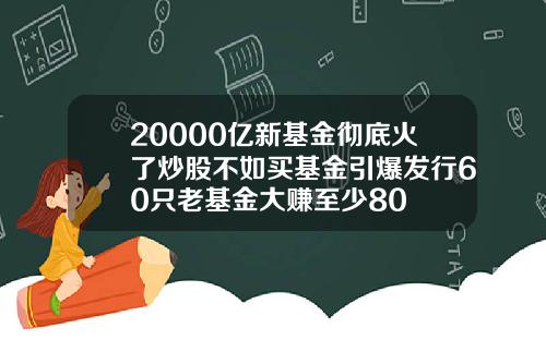 20000亿新基金彻底火了炒股不如买基金引爆发行60只老基金大赚至少80