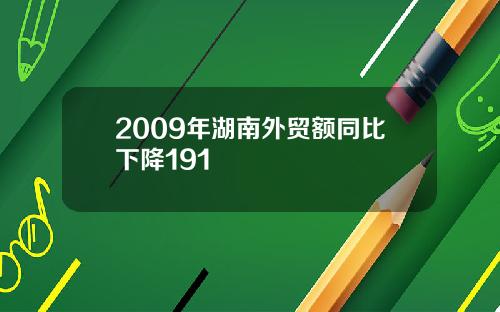 2009年湖南外贸额同比下降191