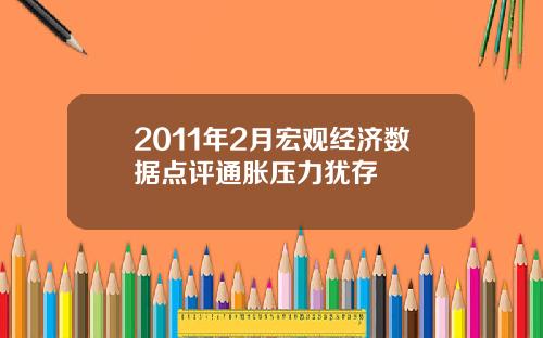 2011年2月宏观经济数据点评通胀压力犹存