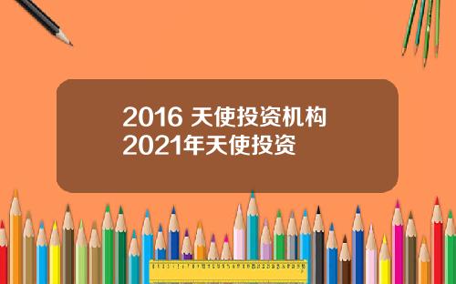 2016 天使投资机构 2021年天使投资