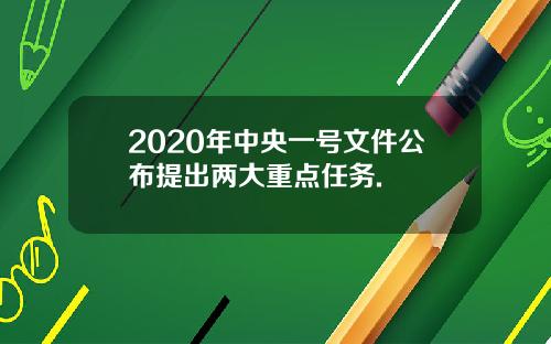2020年中央一号文件公布提出两大重点任务.