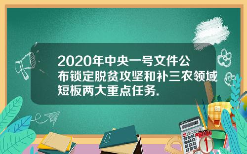 2020年中央一号文件公布锁定脱贫攻坚和补三农领域短板两大重点任务.
