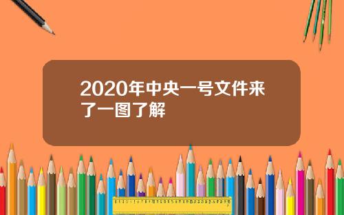 2020年中央一号文件来了一图了解