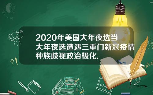 2020年美国大年夜选当大年夜选遭遇三重门新冠疫情种族歧视政治极化.