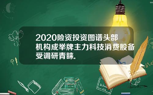 2020险资投资图谱头部机构成举牌主力科技消费股备受调研青睐.