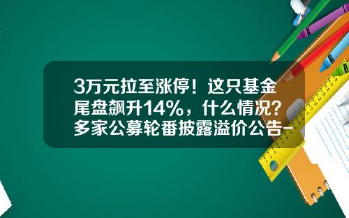3万元拉至涨停！这只基金尾盘飙升14%，什么情况？多家公募轮番披露溢价公告-基金上折收益