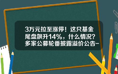 3万元拉至涨停！这只基金尾盘飙升14%，什么情况？多家公募轮番披露溢价公告-基金买卖价格