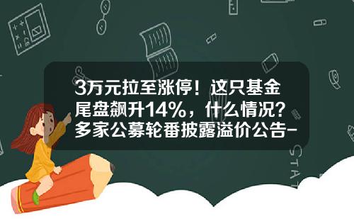 3万元拉至涨停！这只基金尾盘飙升14%，什么情况？多家公募轮番披露溢价公告-基金溢价查询