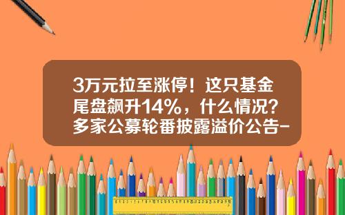 3万元拉至涨停！这只基金尾盘飙升14%，什么情况？多家公募轮番披露溢价公告-基金溢价
