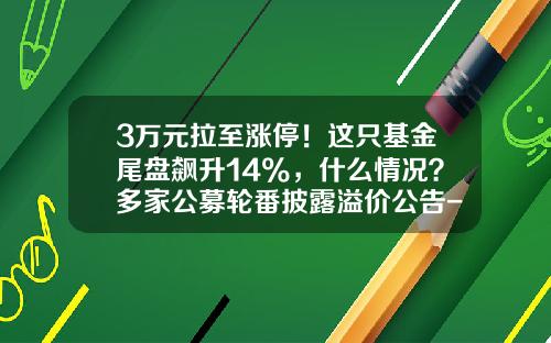 3万元拉至涨停！这只基金尾盘飙升14%，什么情况？多家公募轮番披露溢价公告-基金股票上折