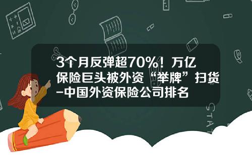 3个月反弹超70%！万亿保险巨头被外资“举牌”扫货-中国外资保险公司排名