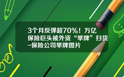 3个月反弹超70%！万亿保险巨头被外资“举牌”扫货-保险公司举牌图片