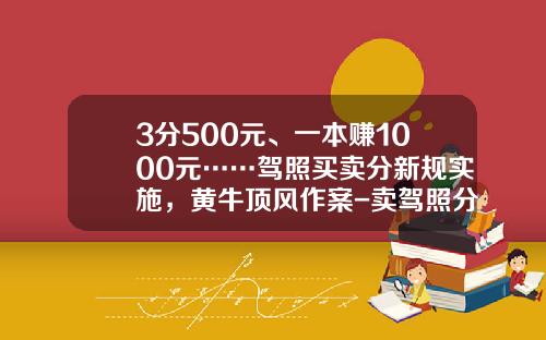 3分500元、一本赚1000元……驾照买卖分新规实施，黄牛顶风作案-卖驾照分多少钱