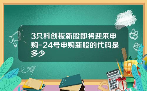 3只科创板新股即将迎来申购-24号申购新股的代码是多少