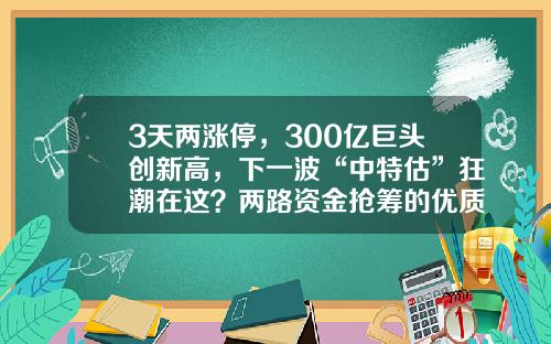 3天两涨停，300亿巨头创新高，下一波“中特估”狂潮在这？两路资金抢筹的优质股揭秘-中钱股票资讯