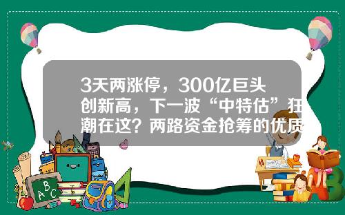 3天两涨停，300亿巨头创新高，下一波“中特估”狂潮在这？两路资金抢筹的优质股揭秘-如何在资讯里找到优质股票