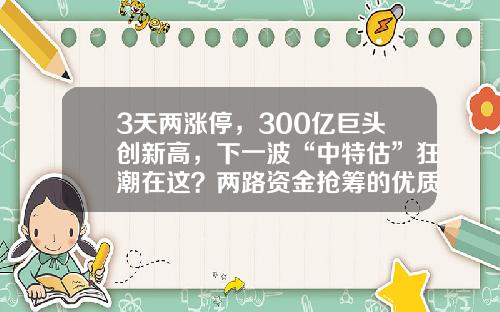 3天两涨停，300亿巨头创新高，下一波“中特估”狂潮在这？两路资金抢筹的优质股揭秘-股票滚动资讯平台