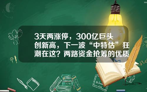 3天两涨停，300亿巨头创新高，下一波“中特估”狂潮在这？两路资金抢筹的优质股揭秘-股票资讯有个什么宝的网站