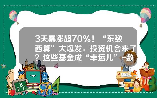 3天暴涨超70%！“东数西算”大爆发，投资机会来了？这些基金成“幸运儿”-数基金
