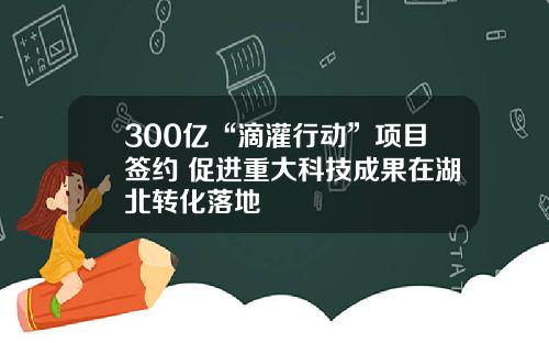 300亿“滴灌行动”项目签约 促进重大科技成果在湖北转化落地