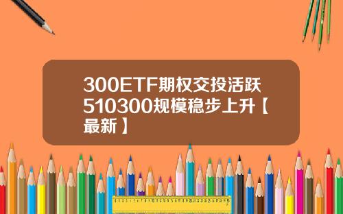 300ETF期权交投活跃510300规模稳步上升【最新】