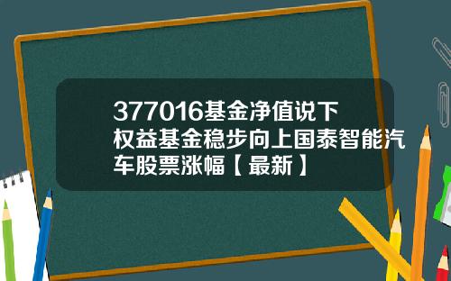377016基金净值说下权益基金稳步向上国泰智能汽车股票涨幅【最新】