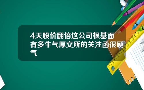 4天股价翻倍这公司根基面有多牛气厚交所的关注函很硬气