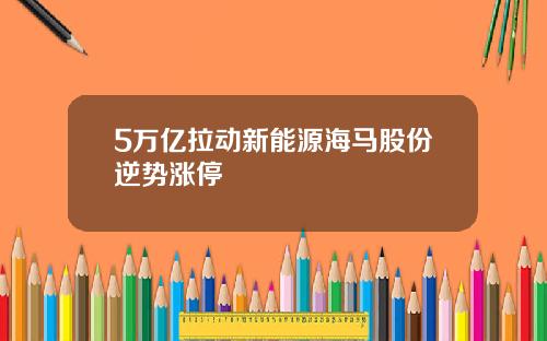 5万亿拉动新能源海马股份逆势涨停