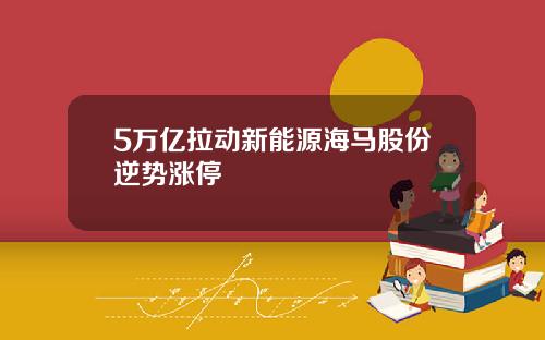 5万亿拉动新能源海马股份逆势涨停
