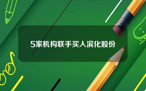 5家机构联手买入滨化股份