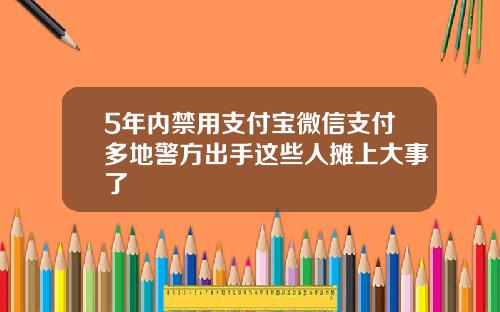 5年内禁用支付宝微信支付多地警方出手这些人摊上大事了
