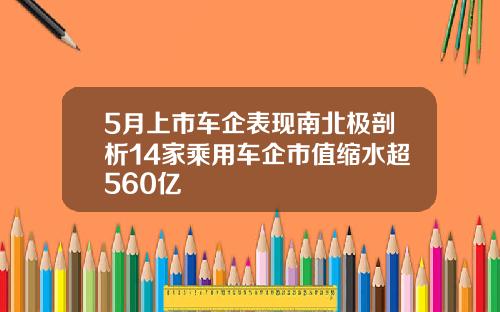5月上市车企表现南北极剖析14家乘用车企市值缩水超560亿