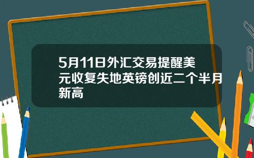 5月11日外汇交易提醒美元收复失地英镑创近二个半月新高