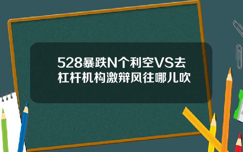 528暴跌N个利空VS去杠杆机构激辩风往哪儿吹