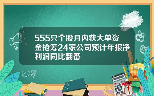555只个股月内获大单资金抢筹24家公司预计年报净利润同比翻番