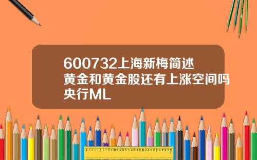 600732上海新梅简述黄金和黄金股还有上涨空间吗央行ML