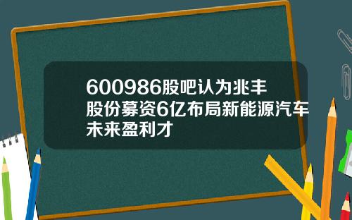 600986股吧认为兆丰股份募资6亿布局新能源汽车未来盈利才