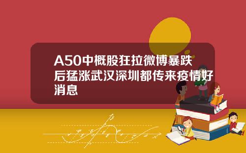 A50中概股狂拉微博暴跌后猛涨武汉深圳都传来疫情好消息