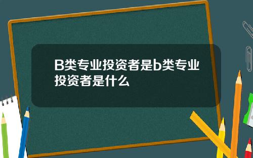 B类专业投资者是b类专业投资者是什么